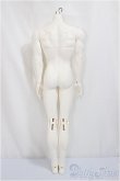 画像2: Telesthesia Doll（DragonDoll）/75壮一代体縮小版 51cm Boy Body/BJD　球体関節人形 A-25-04-16-191-NY-ZA (2)