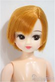 画像1: リカちゃんキャッスル/リカちゃん:本体/BJD　球体関節人形 A-25-04-16-156-NY-ZA (1)