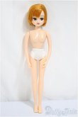 画像2: リカちゃんキャッスル/リカちゃん:本体/BJD　球体関節人形 A-25-04-16-156-NY-ZA (2)