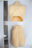 画像2: DDSB/ボディパーツ　筋肉　フレッシュ/BJD　球体関節人形 A-25-04-16-336-KD-ZA (2)