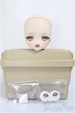 画像4: DC-H-17/カスタムメイクヘッド（La¨nsy様カスタム）/BJD　球体関節人形 A-25-04-16-335-KD-ZA (4)