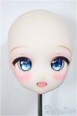 画像1: DDH-28/もこもかもこも様カスタム/BJD　球体関節人形 A-25-04-16-369-NY-ZA (1)