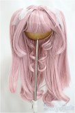 画像1: 8-9inch/ウィッグ/インチ　BJD　MJD　ドール用 A-25-04-23-203-KD-ZA (1)