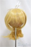 画像1: 8-9inch/ウィッグ/インチ　BJD　MJD　ドール用 A-25-04-23-205-KD-ZA (1)
