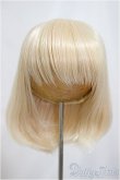 画像1: 8-9inch/ウィッグ/インチ　BJD　MJD　ドール用 A-25-04-23-213-KD-ZA (1)