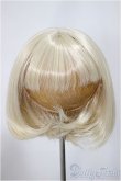 画像1: 8-9inch/ウィッグ/インチ　BJD　MJD　ドール用 A-25-04-23-215-KD-ZA (1)