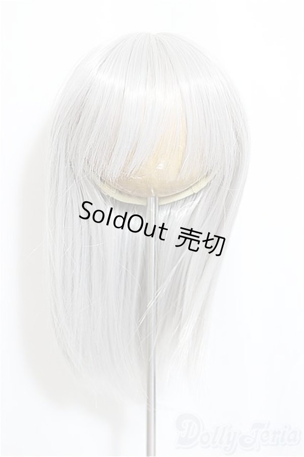 画像1: 8inch/ウィッグ/インチ　BJD　MJD　ドール用 A-25-04-23-106-KD-ZA (1)