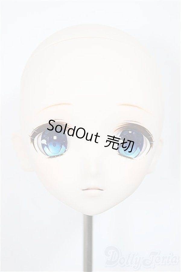 画像1: DDH-03：ユキノ　ヘッド/BJD　球体関節人形 A-25-04-16-367-KD-ZA (1)