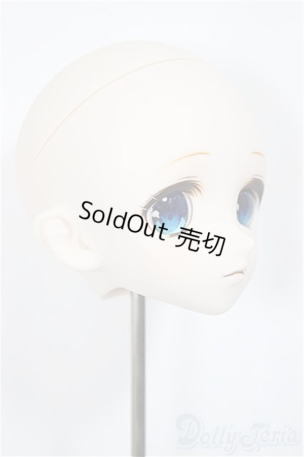 画像2: DDH-03：ユキノ　ヘッド/BJD　球体関節人形 A-25-04-16-367-KD-ZA (2)