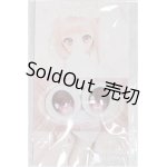 画像: 20mm/アニメアイ/ドール用　アイ A-25-04-23-231-YB-ZA