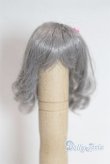 画像1: 3.5inch-4inch/ウィッグ A-25-04-30-075-NY-ZA (1)