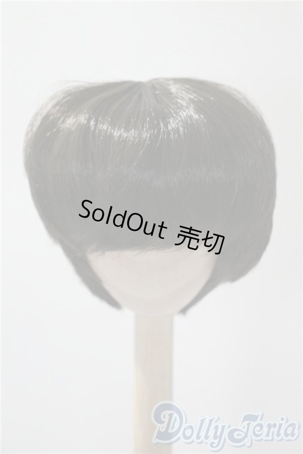 画像1: 9inch/ウィッグ U-25-04-29-046-NY-ZU (1)