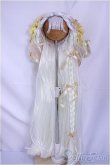 画像1: 8.5-9inch/ウィッグ/インチ　BJD　MJD　ドール用 A-25-04-23-179-NY-ZA (1)