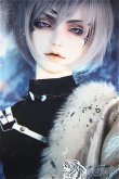 画像1: DOLL CLANS/Phython 四神 The four guardians -白虎-/ A-25-04-23-147-NY-ZA (1)
