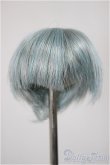 画像1: 3.5inch-4inch/ウィッグ/インチ　BJD　MJD　ドール用 A-25-04-23-325-KD-ZA (1)