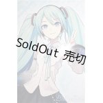 画像: DD/初音ミク NT/BJD　球体関節人形 A-25-04-23-300-NY-ZA