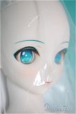 画像3: DD/初音ミク NT/BJD　球体関節人形 A-25-04-23-300-NY-ZA (3)