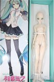 画像5: DD/初音ミク NT/BJD　球体関節人形 A-25-04-23-300-NY-ZA (5)