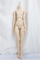 画像: DDS/ベースボディIII/BJD　球体関節人形 A-25-05-07-396-NY-ZA