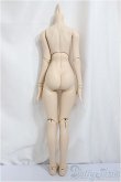 画像2: DDS/ベースボディIII/BJD　球体関節人形 A-25-05-07-396-NY-ZA (2)