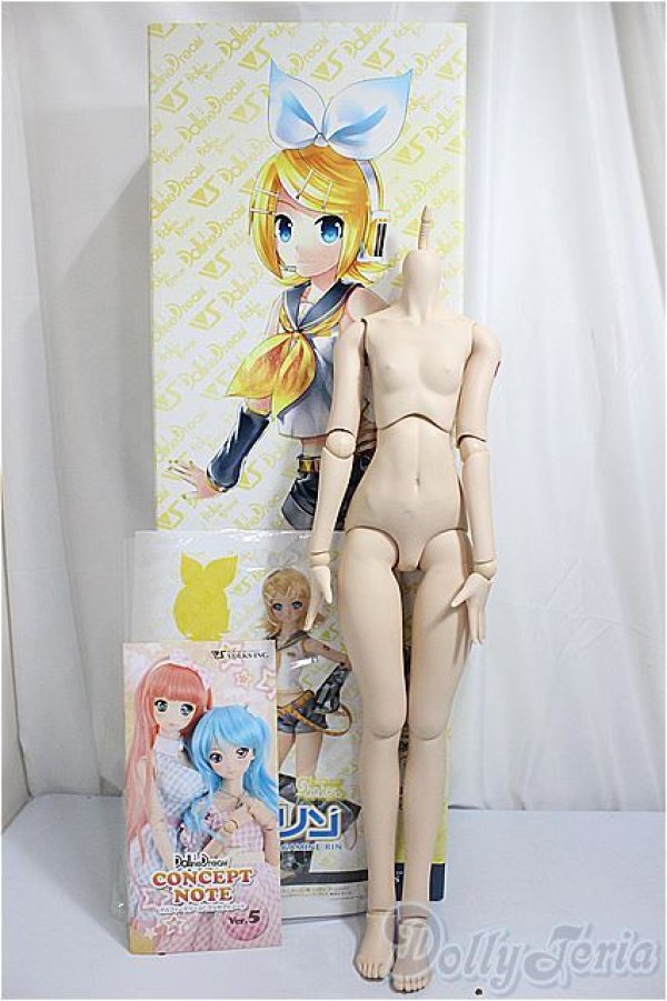 画像5: DDS/ベースボディIII/BJD　球体関節人形 A-25-05-07-396-NY-ZA (5)