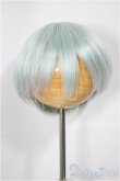 画像1: 6-7inch/ウィッグ/インチ　BJD　MJD　ドール用 A-25-04-30-105-NY-ZA (1)