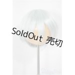 画像: 6-7inch/ウィッグ/インチ　BJD　MJD　ドール用 A-25-04-30-105-NY-ZA