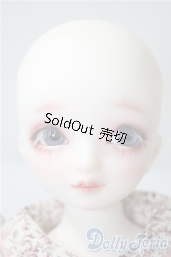 画像1: SDMG/F-62：コーディネートモデル U-25-05-06-212-NY-ZU (1)