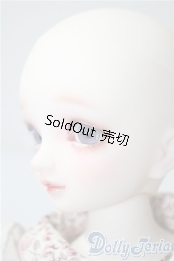 画像2: SDMG/F-62：コーディネートモデル U-25-05-06-212-NY-ZU (2)