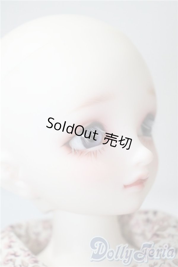 画像3: SDMG/F-62：コーディネートモデル U-25-05-06-212-NY-ZU (3)