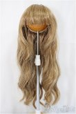 画像1: 7-8inch/ウィッグ/インチ　BJD　MJD　ドール用 A-25-04-30-325-NY-ZA (1)