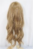 画像2: 7-8inch/ウィッグ/インチ　BJD　MJD　ドール用 A-25-04-30-325-NY-ZA (2)