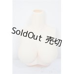 画像: azone/上半身外皮パーツL胸/0 A-25-04-30-317-NY-ZA