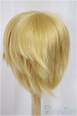 画像2: 9inch/ウィッグ/インチ　BJD　MJD　ドール用 A-25-04-30-349-NY-ZA (2)