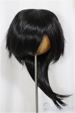 画像1: 9inch/ウィッグ/インチ　BJD　MJD　ドール用 A-25-05-07-104-NY-ZA (1)
