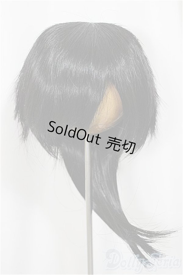 画像1: 9inch/ウィッグ/インチ　BJD　MJD　ドール用 A-25-05-07-104-NY-ZA (1)