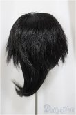 画像2: 9inch/ウィッグ/インチ　BJD　MJD　ドール用 A-25-05-07-104-NY-ZA (2)