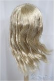画像2: 8-9inch/ウィッグ/インチ　BJD　MJD　ドール用 A-25-04-30-350-NY-ZA (2)