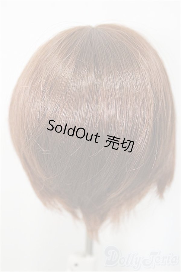 画像2: 7-8inch/ウィッグ/インチ　BJD　MJD　ドール用 A-25-05-07-106-NY-ZA (2)