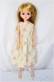 画像1: リカちゃん/本体＆衣装/BJD　球体関節人形 A-25-05-14-120-KD-ZA (1)