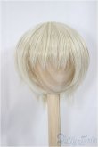 画像1: 8-9inch/ウィッグ/インチ　BJD　MJD　ドール用 A-25-05-07-395-KD-ZA (1)
