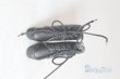 画像1: azoneピコニーモ/OF:1/12サイズドール　靴 A-25-05-14-095-KD-ZA (1)
