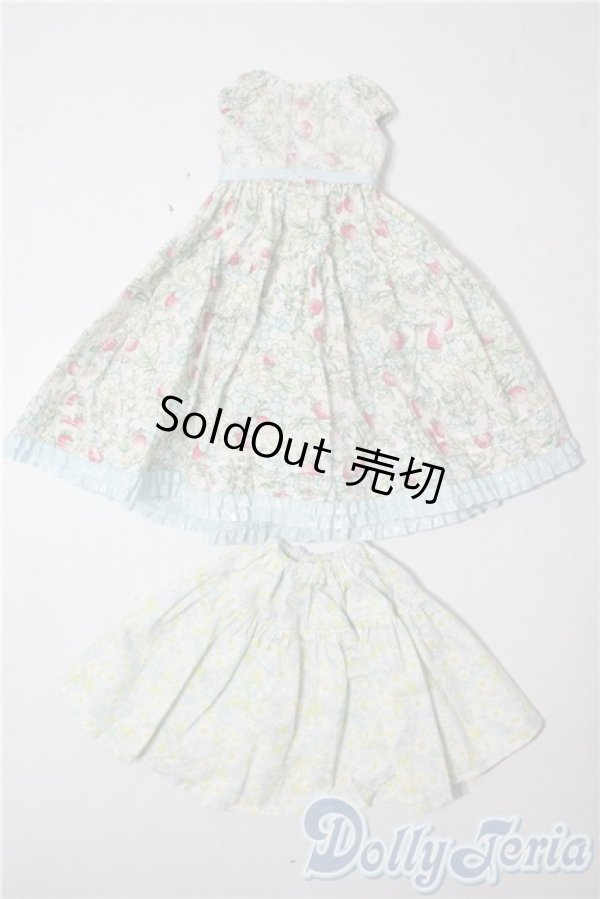 画像2: SDM＆MSD/OF:CHARME(シャルム)様製ドレス U-25-07-15-166-NY-ZU (2)