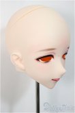 画像2: IMOMODOLL/Canis-B Head/ A-25-05-07-192-NY-ZA (2)