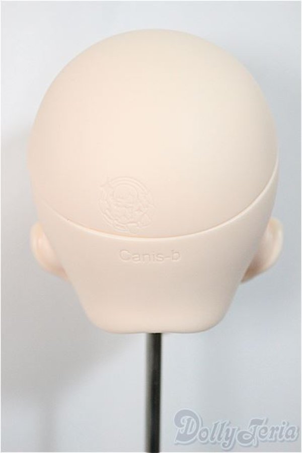 画像4: IMOMODOLL/Canis-B Head/ A-25-05-07-192-NY-ZA (4)