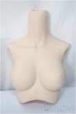 画像1: DD2.0（DD-f3）-B-M-FL 上半身パーツ-M胸 / フレッシュ/BJD　球体関節人形 A-25-05-21-119-NY-ZA (1)