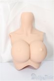 画像1: DDS-B02-BR上半身パーツ/L胸/BJD　球体関節人形 A-25-05-21-107-NY-ZA (1)