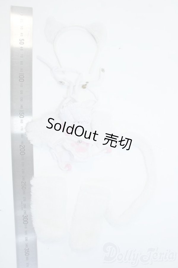 画像2: MDD/OF:衣装セット Y-25-05-21-034-NY-ZY (2)