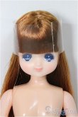 画像1: 2025年2月リカちゃん＆フレンズクラブ　ファニー-2　 /BJD　球体関節人形 A-25-05-07-224-KD-ZA (1)
