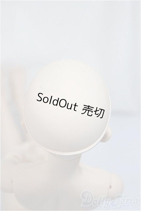 画像4: DDB/ベースボディ＆DDH-26ヘッド/BJD　球体関節人形 A-25-05-07-394-KD-ZA (4)